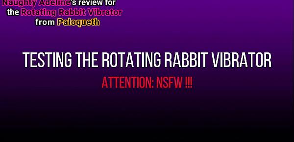  SPECIAL SEX TOY REVIEW - Rotating Rabbit Vibrator from Paloqueth by Naughty Adeline - NSFW Edition